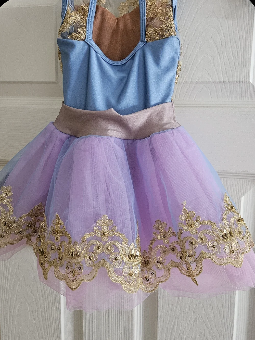 Blue & Pink Gold-Trim Tulle Dance Costume 